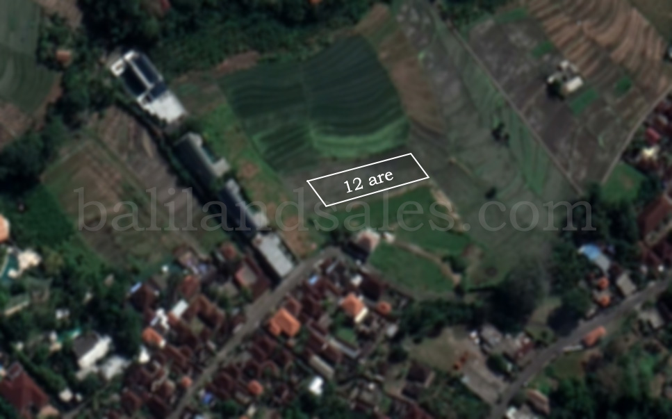 Land for freehold in canggu