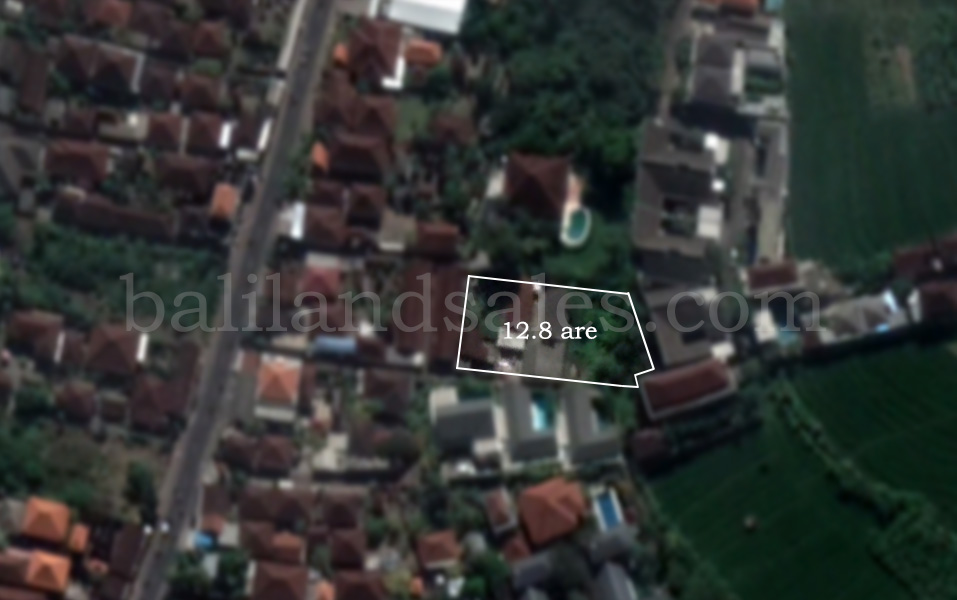 Cheap Land for sale in canggu