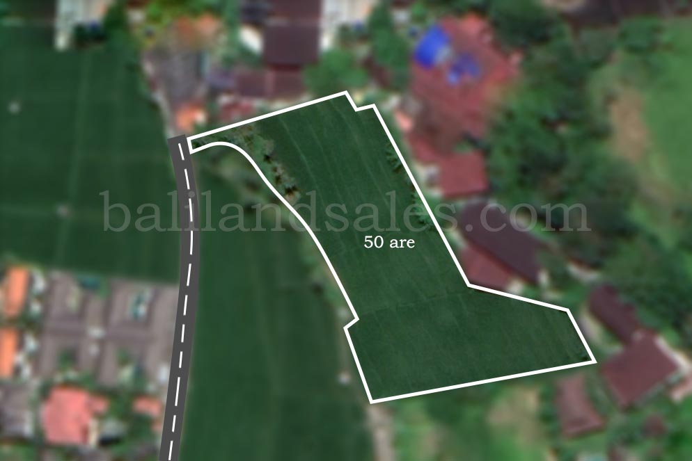 Hot Land Located in Central Berawa for Leasehold