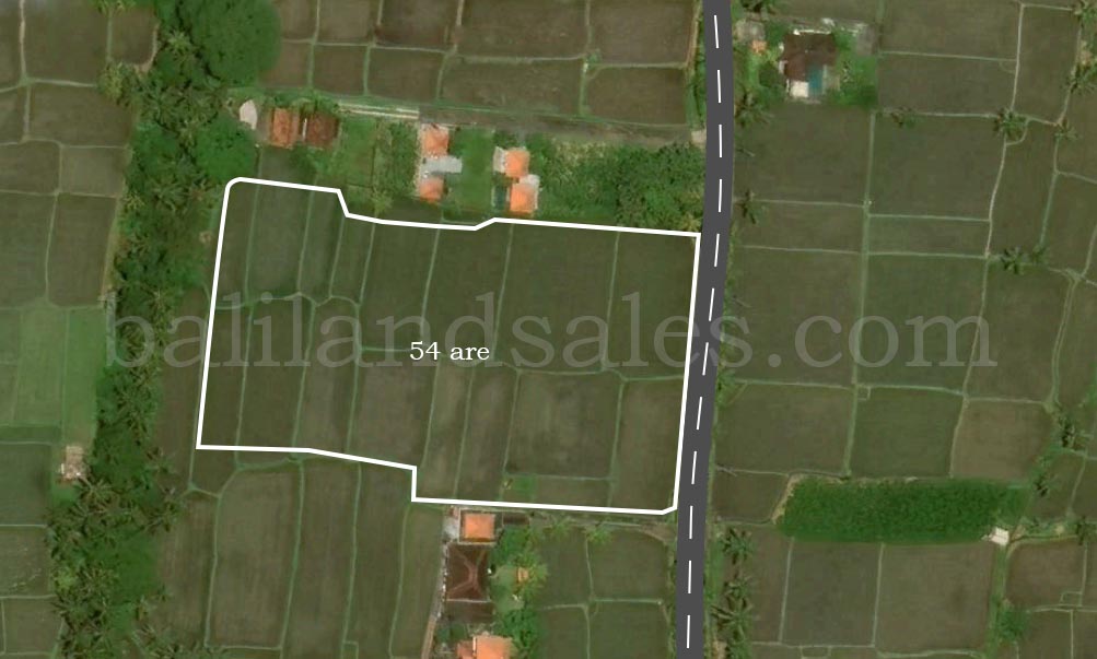 53 are Land for Freehold in Ubud