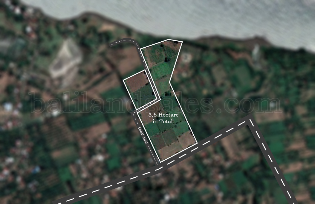 5.6 hektar Freehold Land in Buleleng