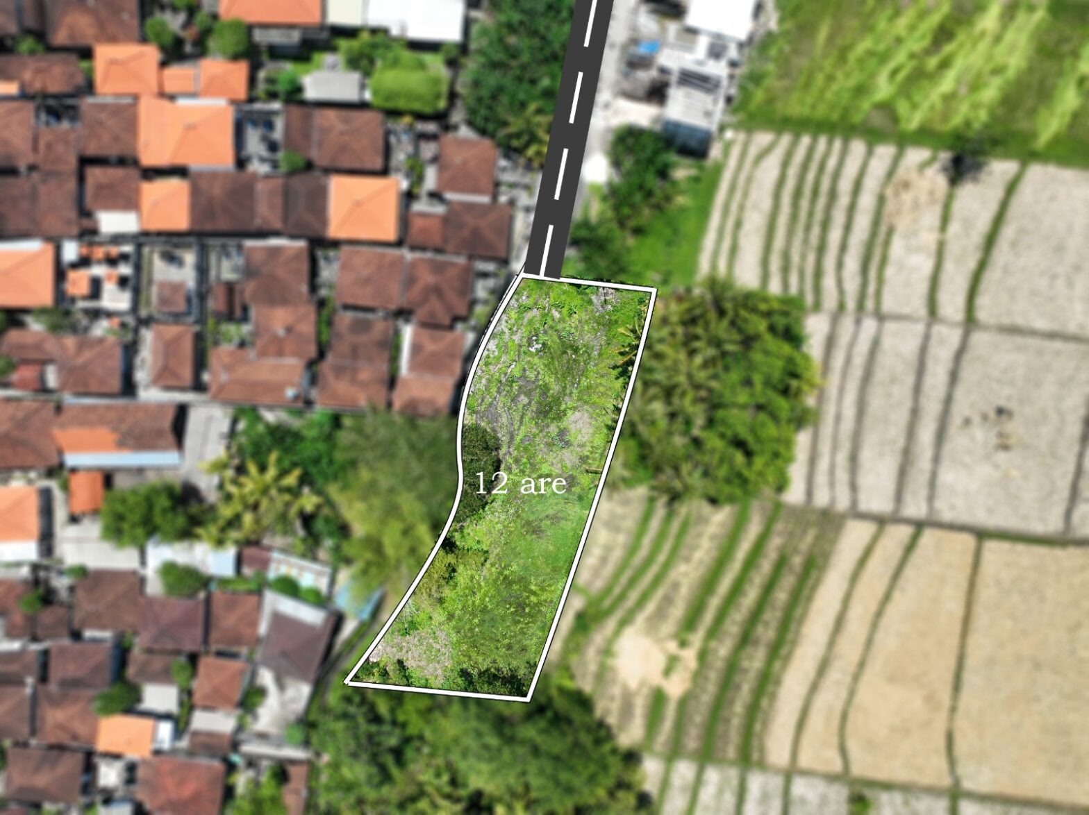 Great investment Freehold land in Tanah Lot